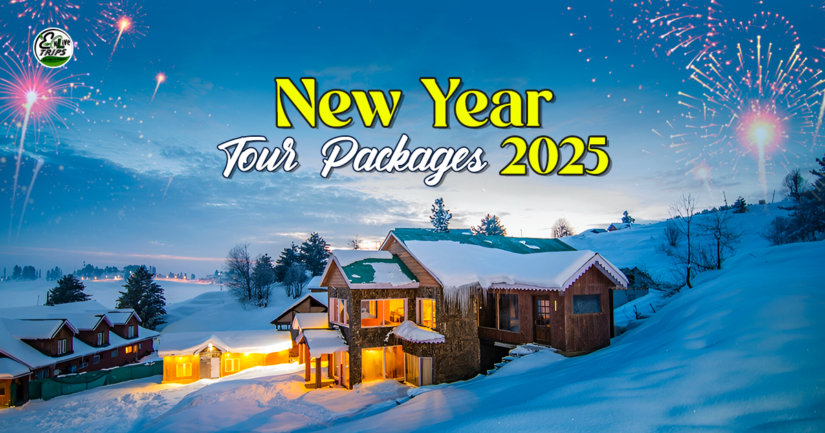 Top 20 Places to Welcome New Year 2026 – Best Travel Trips